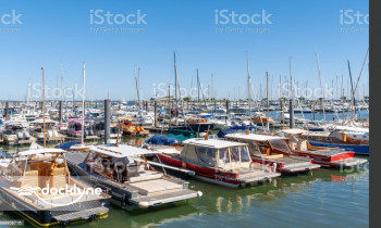 saripalli operation boat rental operation on Mount Dora, FL 4